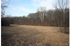 Property photo 10 - REAL ESTATE AUCTION - 84.5+/- ACRES IN 4 TRACTS IN WHITLEY COUNTY, INDIANA